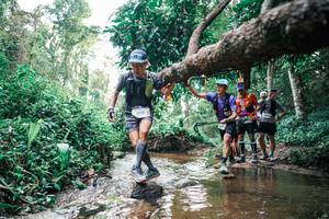 BIB: 
                            <button type="button" onclick="openModal(25369081)" class="btn btn-primary btn-sm float-right btn-popup" data-toggle="modal" data-target=".modal-high-quality">
                        <i class="fas fa-shopping-cart"></i> Add to Cart
                    </button>
                                            <button type="button" onclick="isThisMe(25369081, true)" class="btn btn-success btn-sm float-right btn-popup btn-isme hidden" data-toggle="tooltip" data-placement="bottom" title="นี่คือรูปของคุณใช่ไหม คลิกที่นี่เพื่อเอาเข้าอัลบั้ม">
                        <i class="fas fa-plus"></i> Add to album
                    </button>
                    <button type="button" onclick="isThisMe(25369081, false)" class="btn btn-warning btn-sm float-right btn-popup btn-isnotme hidden">
                        <i class="fas fa-ban"></i> Remove from album
                    </button>